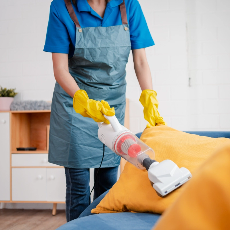 Cleaner Darwin Professional Cleaning Services Yellow Rose